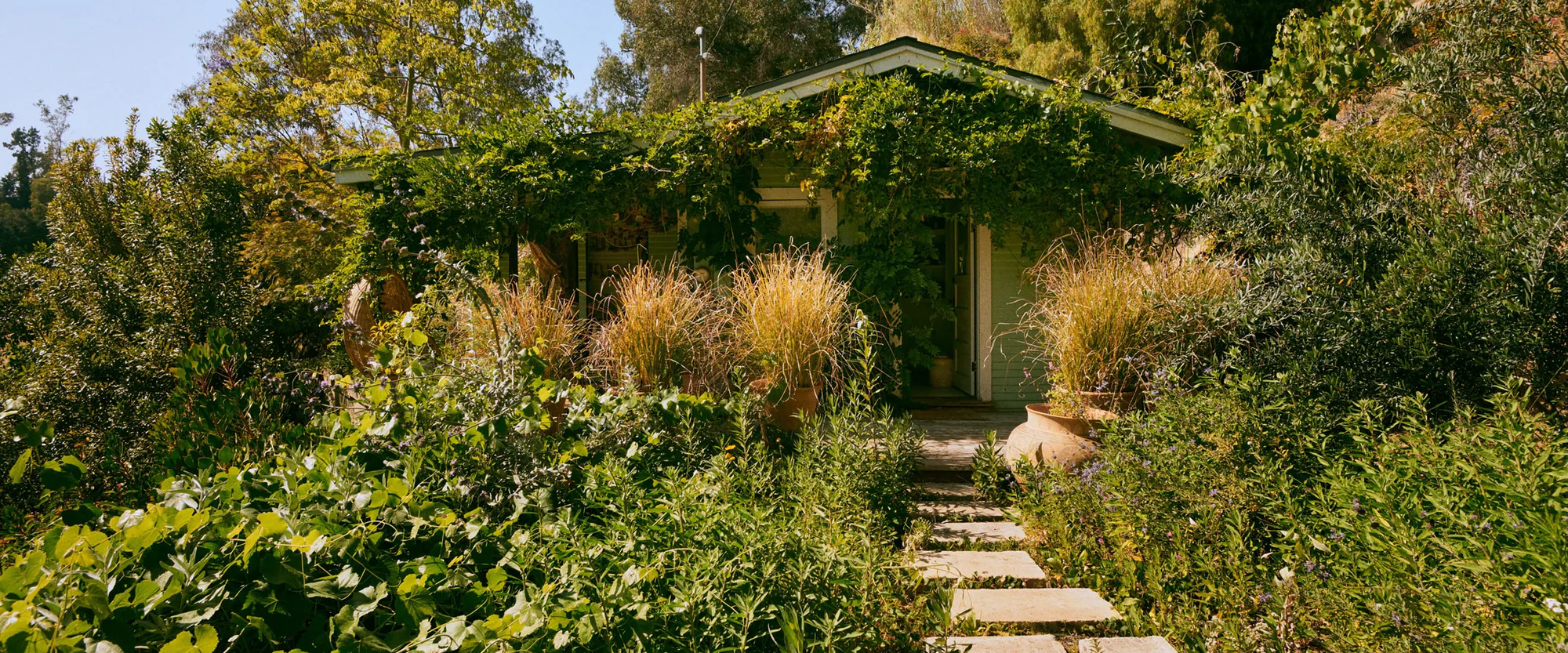 Garden-Sourced Pleasure for Every Home